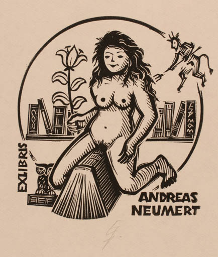 Exlibris by Erhard Zierold from Germany for Andreas Neumert - Book Devil Woman Nude 