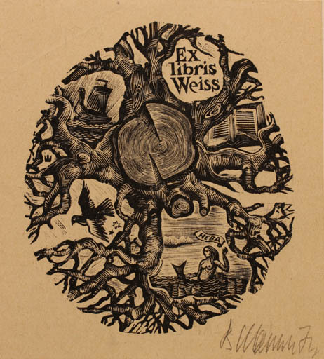 Exlibris by Wiktor Szapil from Russia for ? Weiss - Mermaid 