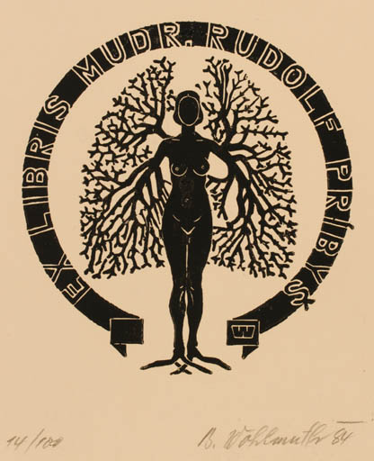 Exlibris by B. Wahlmuth from Germany for Dr. Rudolf Pribys - Woman Mythology 