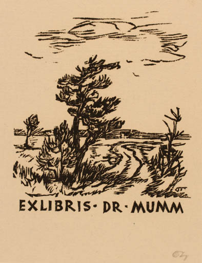 Exlibris by Herbert S. Ott from Germany for Dr. Martin Mumm - Scenery/Landscape 