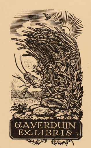 Exlibris by   from Netherland for G. A. Verduin - Flora Insect Sun 