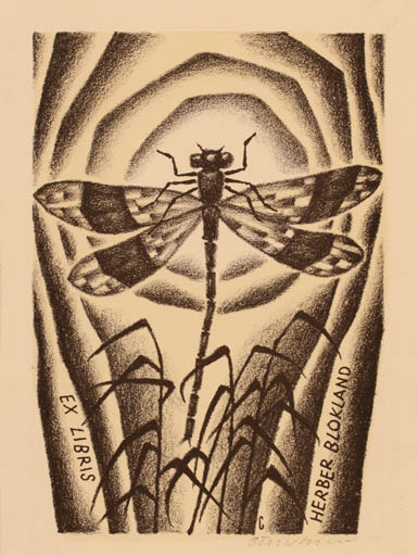 Exlibris by Vojtech Cinybulk from Czech Republic for Herber Blokland - Insect 