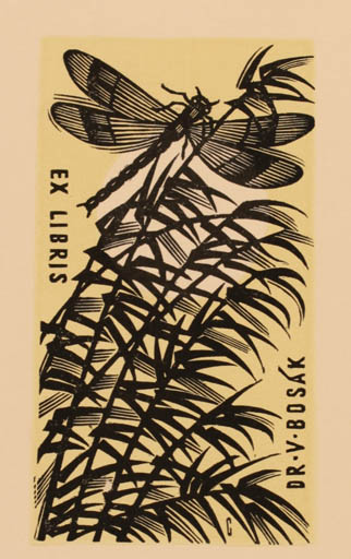 Exlibris by Vojtech Cinybulk from Czech Republic for Dr. Vincenc Bosak - Insect 