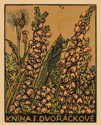 Exlibris by Anna Mackova from Czech Republic for F. Dvorackova - Flower Insect 