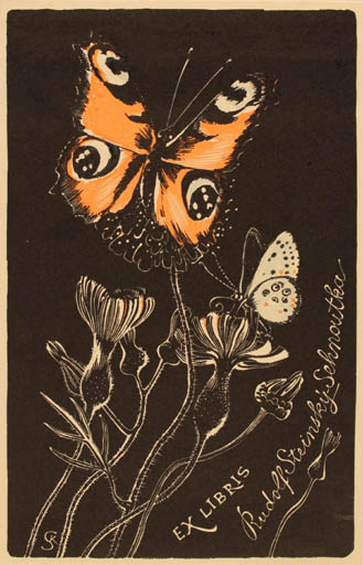 Exlibris by Karel Svolinsky from Czech Republic for Rudolf Steinsky-Sehnoutka - Butterfly 