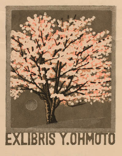 Exlibris by Y. Ohmoto from Japan for Y. Ohmoto - Tree 