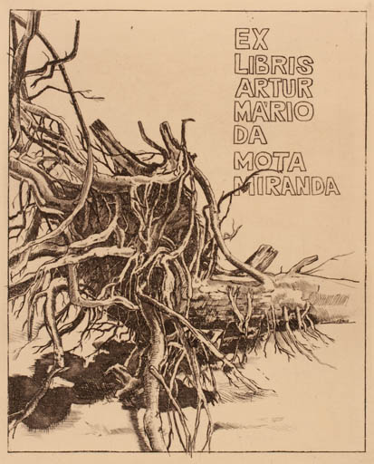 Exlibris by Zoltan Vén from Hungary for Artur Mario Da Mota Miranda - Tree 