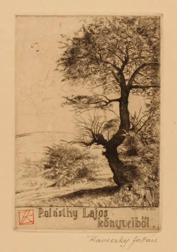 Exlibris by Zoltan Kaveczky from Hungary for Palásthy Lajos - Tree 