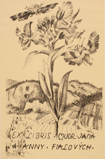 Exlibris by Dobroslava Bilovska from Czech Republic for Mudr. Jana u. Anny Fialovych - Fauna Flora Scenery/Landscape 