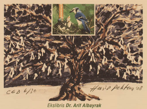 Exlibris by Hasip Pektas from Turkey for Dr. Arif Albayrak - Bird Tree 