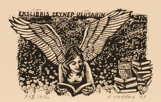 Exlibris by Hasip Pektas from Turkey for Zeynep Ulusahin - Book Owl 