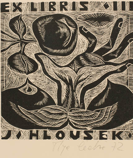 Exlibris by Olga Cechova from Czech Republic for J. Hlousek - Abstract Flora Hand(s) 