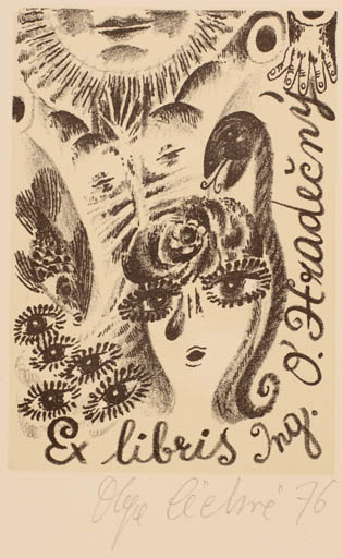 Exlibris by Olga Cechova from Czech Republic for Ing. Otakar Hradecny - Fauna Woman Sun 