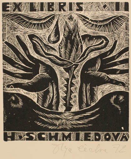 Exlibris by Olga Cechova from Czech Republic for H. Schmiedova - Flora Hand(s) 