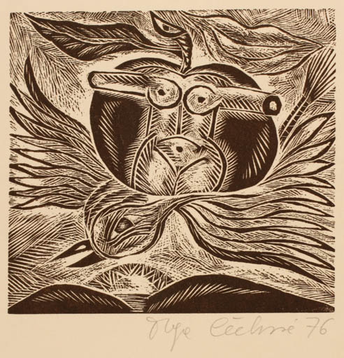 Exlibris by Olga Cechova from Czech Republic for ? Freie Graphik - Bird Woman Nude Surrealism 