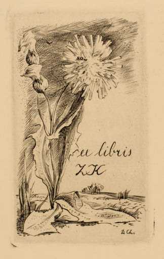 Exlibris by Dalibor Chatrny from Czech Republic for ? Z. K. - Flower Flora Scenery/Landscape 