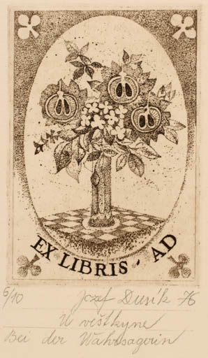 Exlibris by Jozef Dusik from Czech Republic for ? A. D. - Flower Flora 