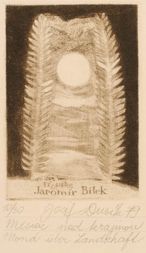 Exlibris by Jozef Dusik from Czech Republic for Jaromir Bilek - Abstract Sun 