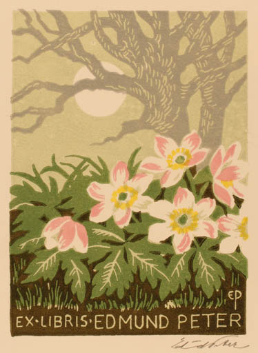 Exlibris by Edmund Peter from Denmark for Edmund Peter - Flower Sun Tree 