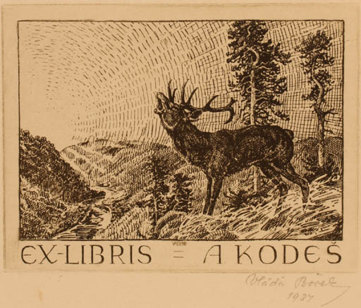 Exlibris by Vlada Borek from Czechoslovakia for A. Kodes - Fauna 