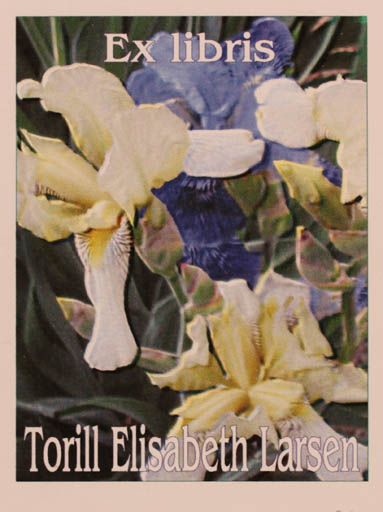 Exlibris by Rajmund Aszkowski from Poland for Torill  Elisabeth Larsen - Flower 