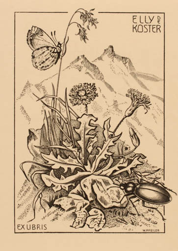 Exlibris by Werner Pfeiler from Austria for Elly de Koster - Mountain Flower Insect 