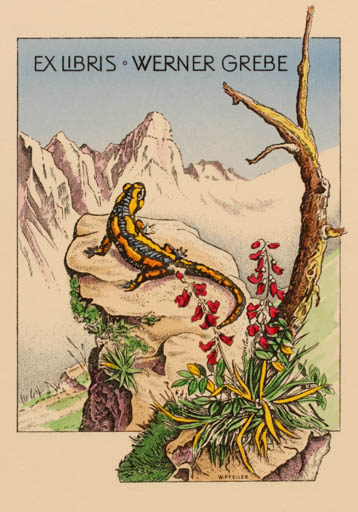 Exlibris by Werner Pfeiler from Austria for Dr. Phil Werner Grebe - Mountain Flower Fauna 