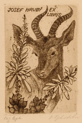 Exlibris by Olga Vychodilova from Czech Republic for Josef Hrubý - Fauna Flora 