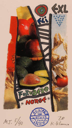 Exlibris by Klemensas Kupriunas from Lithuania for Eli Furuberg - Abstract Fruit 