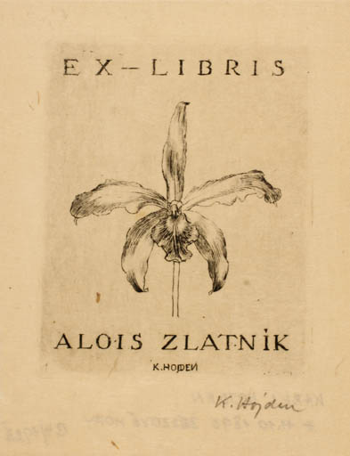 Exlibris by Karel Hojden from Czech Republic for ? Zlatnik. Alois - Flower Flora 