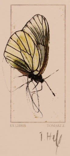 Exlibris by Tomasz Hankus from Poland for Tomasz Z. - Insect Butterfly 