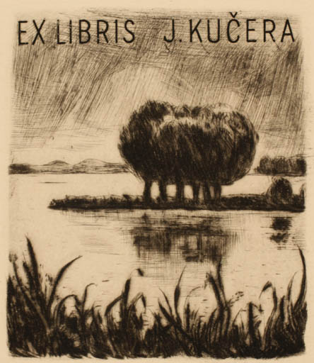 Exlibris by Antonin Homolka from Czech Republic for Josef Kucera - Scenery/Landscape Maritime Tree 