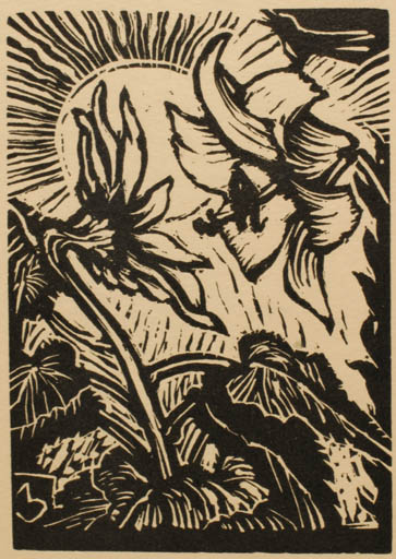 Exlibris by Arnost Hrabal from Czech Republic for ? Freie Graphik - Flower Flora Sun 