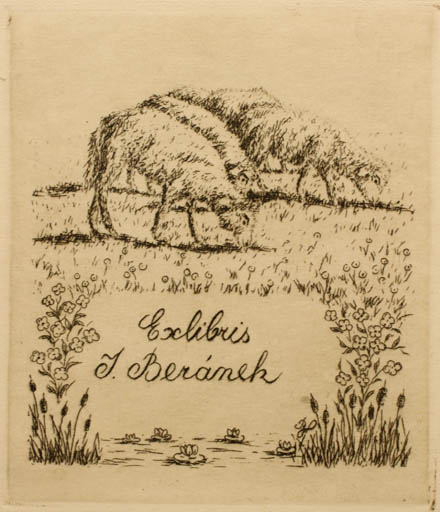 Exlibris by Bohumil Hradecny from Czech Republic for J. Beranek - Fauna Flora Scenery/Landscape 