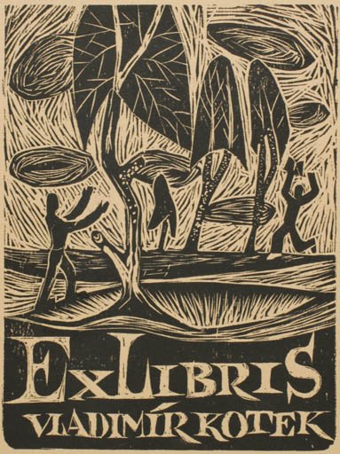 Exlibris by P Inony from Czech Republic for Vladimir Kotek - Abstract Flora Scenery/Landscape 