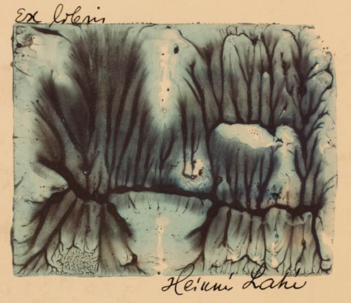 Exlibris by Guara Muuga from Estonia for Heinni Laki - Abstract 