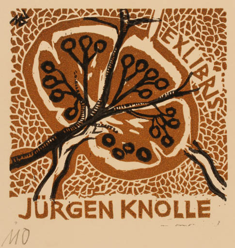 Exlibris by Ullrich Bewersdorff from Germany for Jürgen Knolle - Flora 