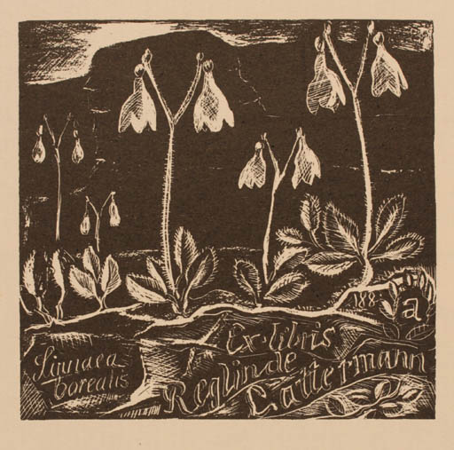 Exlibris by Helmut Arndt from Germany for Reglinde Lattermann - Flower 