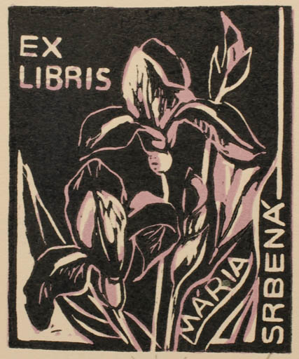 Exlibris by ? Kühnlova from Czech Republic for Maria Srbena - Flower Flora 