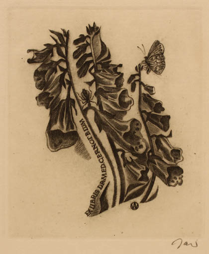 Exlibris by Wojciech Jakubowski from Poland for Dr. Gernot Blum - Flower Butterfly 