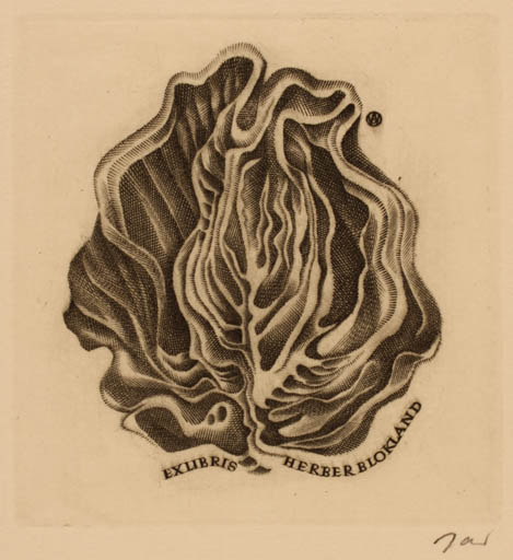 Exlibris by Wojciech Jakubowski from Poland for Herber Blokland - Flora 