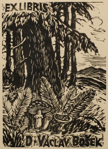 Exlibris by V. Kunes from Czech Republic for Dr. Vaclav Bosek - Flora Scenery/Landscape Tree 
