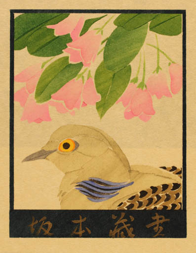 Exlibris by Akio Hiratsuka from Japan for Senichiro Saitoh - Flower Bird 