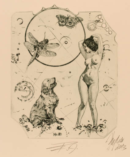 Exlibris by Günter Hujber from Czech Republic for A. N. - Dog Insect Woman Sun 