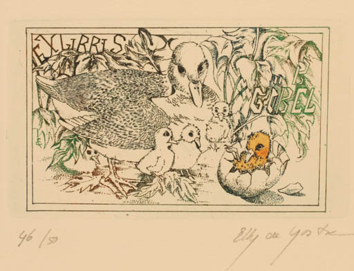 Exlibris by Elly de Koster from Netherland for Birgit Göbel-Stiegler - Fairytale/fable Bird 