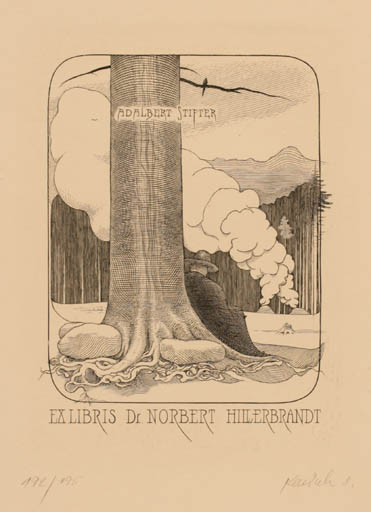 Exlibris by Vlastimil Kacirek from Czech Republic for Dr. Norbert Hillerbrandt - Scenery/Landscape 