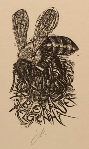 Exlibris by Eduard Albrecht from Germany for Dr. Bernt Felgenhauer - Insect 