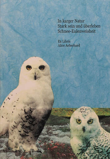 Exlibris by Alice M. Aeberhard from Schwitzerland for Alice M. Aeberhard - Owl 