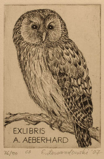 Exlibris by Erika Lewandowski from Poland for Alice M. Aeberhard - Owl 