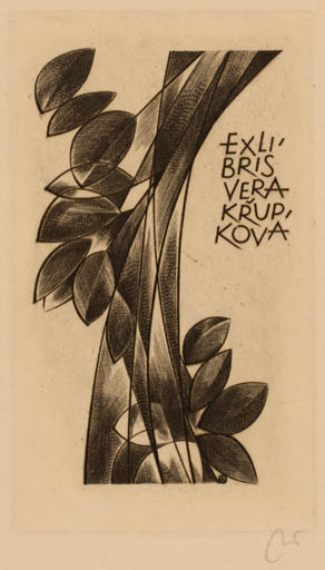 Exlibris by Wojciech Jakubowski from Poland for Vera Krupkova - Flora 